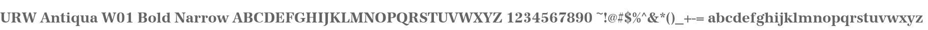URW Antiqua W01 Bold Narrow