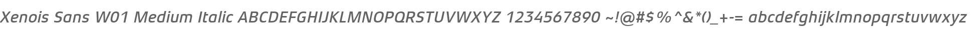 Xenois Sans W01 Medium Italic
