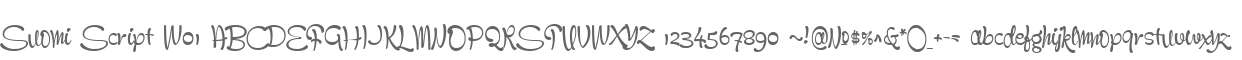 Suomi Script W01