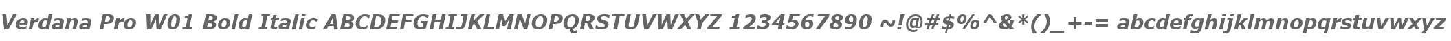 Verdana Pro W01 Bold Italic