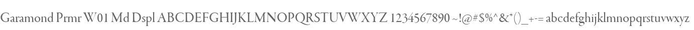 Garamond Prmr W01 Md Dspl