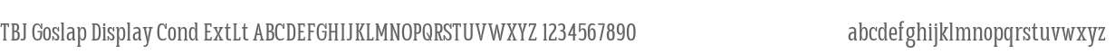 TBJ Goslap ExtLt Cond Display
