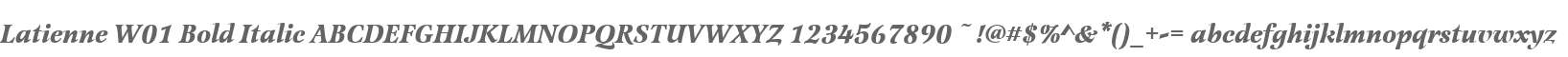 Latienne W01 Bold Italic