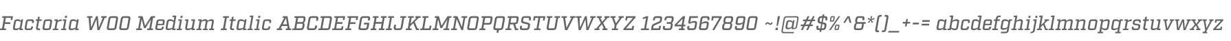 Factoria W00 Medium Italic