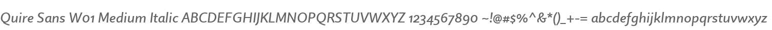 Quire Sans W01 Medium Italic