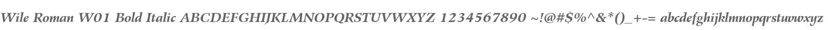 Wile Roman W01 Bold Italic