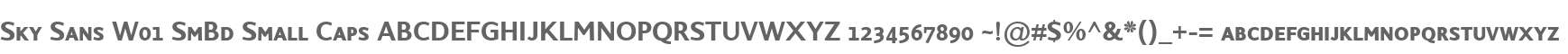 Sky Sans W01 SmBd Small Caps