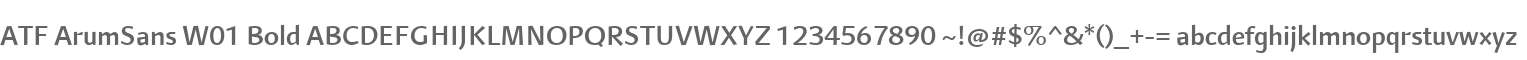 ATF ArumSans W01 Bold