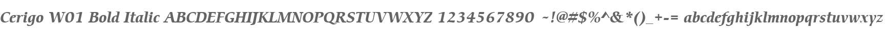Cerigo W01 Bold Italic