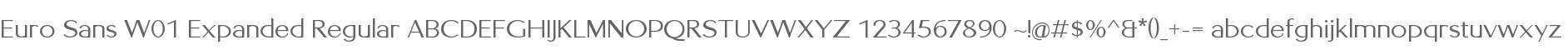 Euro Sans W01 Expanded Regular