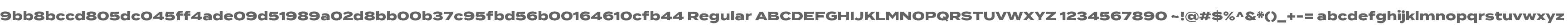 9bb8bccd805dc045ff4ade09d51989a02d8bb00b37c95fbd56b00164610cfb44 Regular