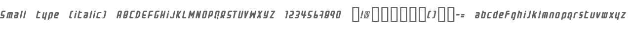 Small type (italic)