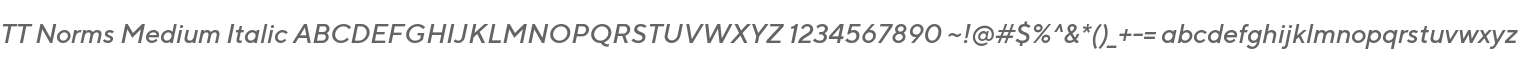 TT Norms Medium Italic