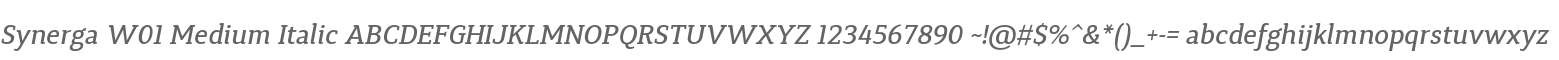 Synerga W01 Medium Italic