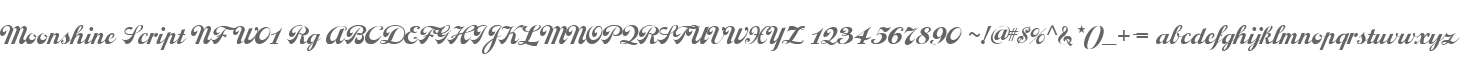 Moonshine Script NF W01 Rg