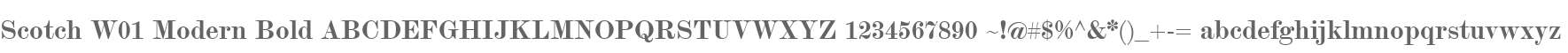 Scotch W01 Modern Bold