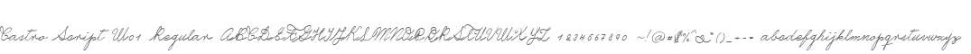 Castro Script W01 Regular