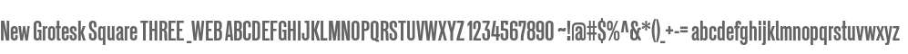 New Grotesk Square THREE _WEB