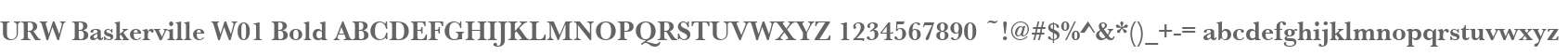 URW Baskerville W01 Bold