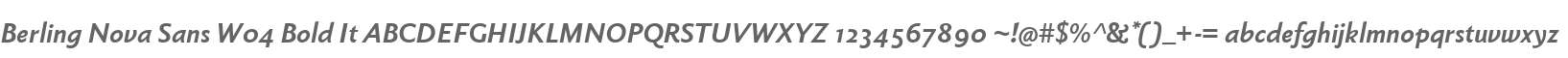 Berling Nova Sans W04 Bold It