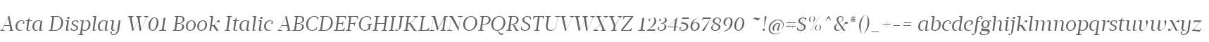 Acta Display W01 Book Italic