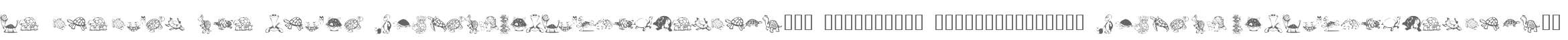 KR Turtles For Julie