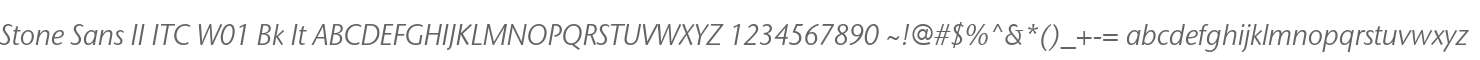 Stone Sans II ITC W01 Bk It
