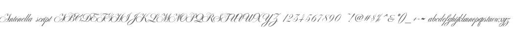 Antonella script