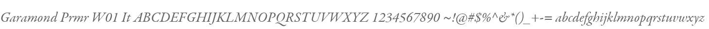 Garamond Prmr W01 It