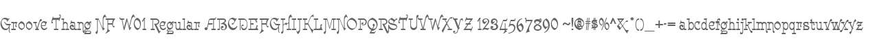Groove Thang NF W01 Regular