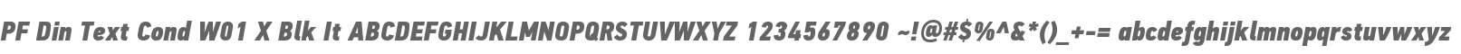 PF Din Text Cond W01 X Blk It