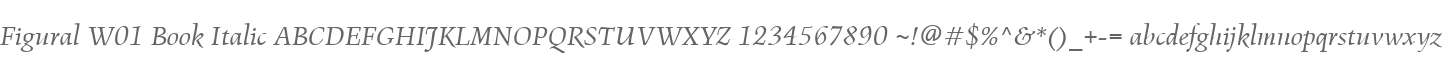 Figural W01 Book Italic