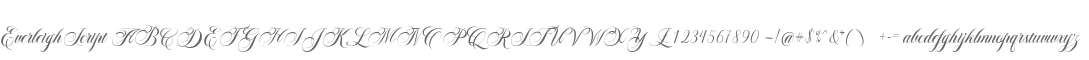 Everleigh Script