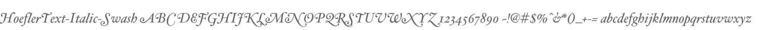 HoeflerText-Italic-Swash