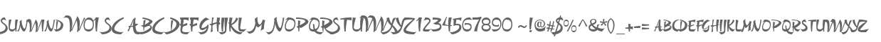 Sunwind W01 SC