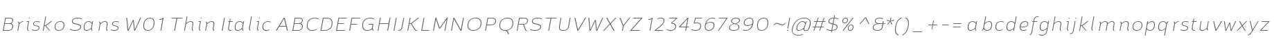 Brisko Sans W01 Thin Italic