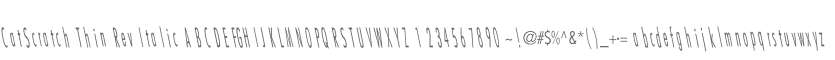 CatScratch Thin Rev Italic