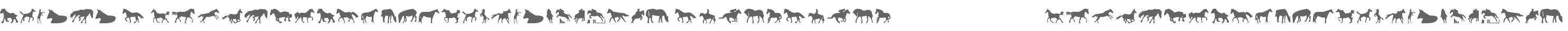 Horses 1