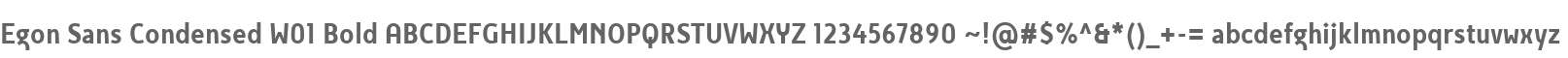 Egon Sans Condensed W01 Bold