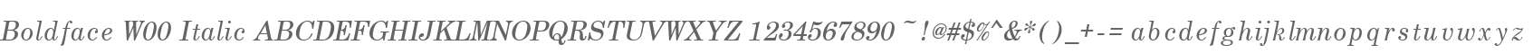Boldface W00 Italic