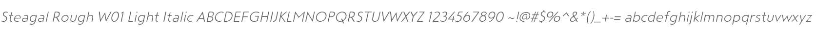 Steagal Rough W01 Light Italic
