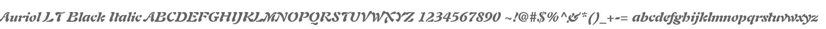 Auriol LT Black Italic