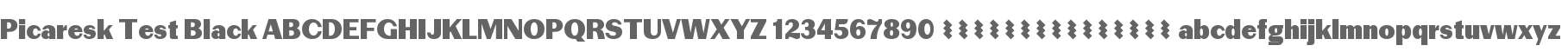 Picaresk Test Black