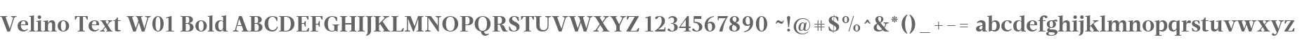 Velino Text W01 Bold