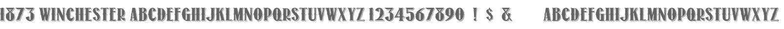 1873 Winchester