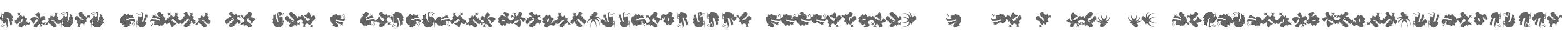 Chineze Dragon LT W95 1
