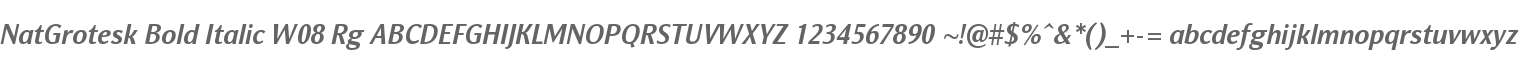 NatGrotesk Bold Italic W08 Rg