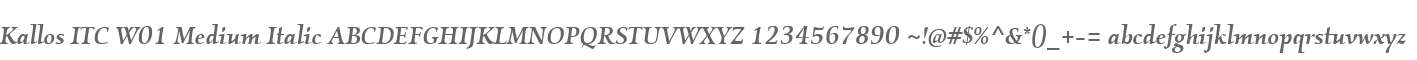 Kallos ITC W01 Medium Italic