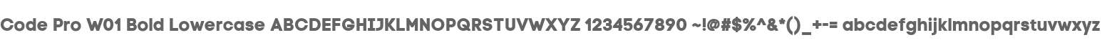Code Pro W01 Bold Lowercase
