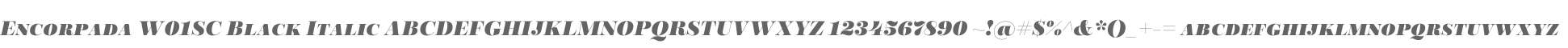 Encorpada W01SC Black Italic
